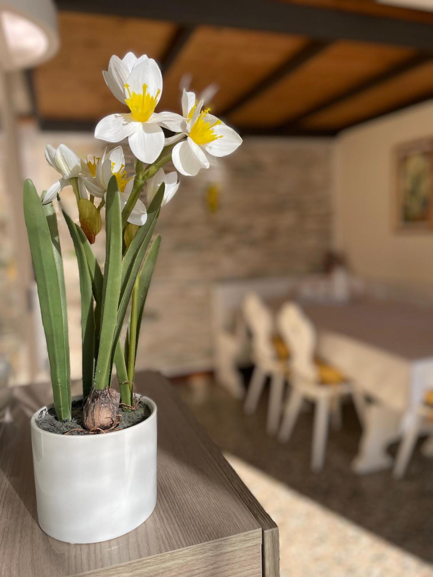 Elena Casa Turistica Διαμέρισμα Πάδοβα Εξωτερικό φωτογραφία